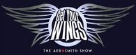 Get Your Wings - The Aerosmith Show